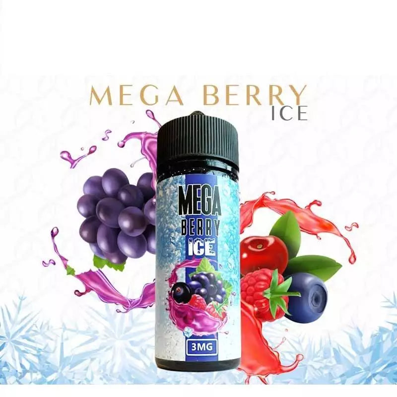 MEGA - BERRY ICE (120ML)